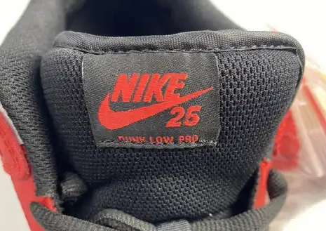 SB Low Nike Dunk 25th years 309242-307 0621